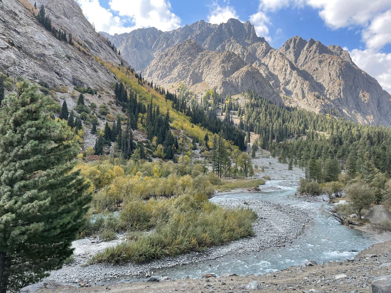 Breathtaking view of Kalam Valley with a pristine river flowing through lush green forests and towering mountains.